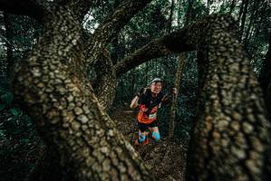 BIB: 
                            <button type="button" onclick="openModal(25682381)" class="btn btn-primary btn-sm float-right btn-popup" data-toggle="modal" data-target=".modal-high-quality">
                        <i class="fas fa-shopping-cart"></i> Add to Cart
                    </button>
                                            <button type="button" onclick="isThisMe(25682381, true)" class="btn btn-success btn-sm float-right btn-popup btn-isme hidden" data-toggle="tooltip" data-placement="bottom" title="นี่คือรูปของคุณใช่ไหม คลิกที่นี่เพื่อเอาเข้าอัลบั้ม">
                        <i class="fas fa-plus"></i> Add to album
                    </button>
                    <button type="button" onclick="isThisMe(25682381, false)" class="btn btn-warning btn-sm float-right btn-popup btn-isnotme hidden">
                        <i class="fas fa-ban"></i> Remove from album
                    </button>